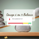 Omega 6 zu Omega3 Verhältnis verstehen: Was dein Wert wirklich aussagt